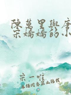 陈万里与唐嫣然宋娇娇的小说叫什么