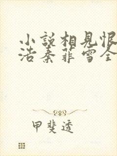 小说相见恨晚沈浩秦菲雪全文阅读