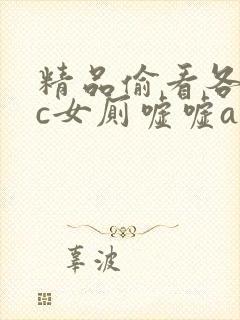 精品偷看各类wc女厕嘘嘘av