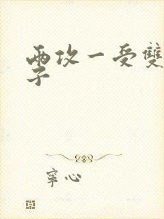 两攻一受双性生子