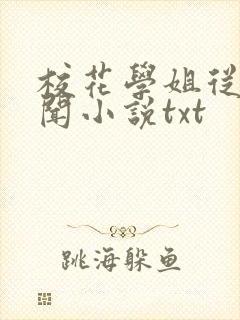 校花学姐从无绯闻小说txt