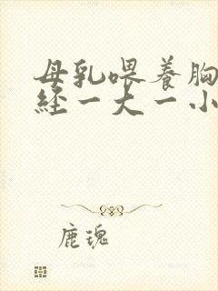 母乳喂养胸部已经一大一小怎么办