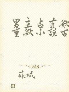 男主占有欲强且重欲小说古言