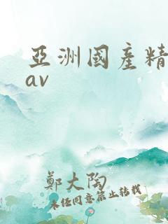 亚洲国产精品八av