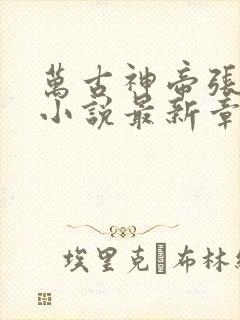 万古神帝张若尘小说最新章节阅