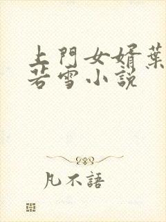 上门女婿叶凡唐若雪小说