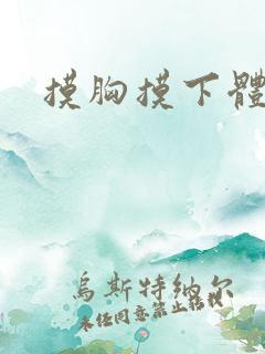 摸胸摸下体小说