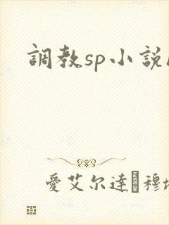 调教sp小说h