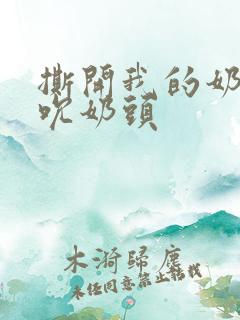 撕开我的奶罩揉吮奶头