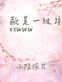 欧美一级片xxxxwww