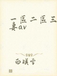一区二区三区人妻av