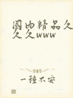 国内精品久久久久久www