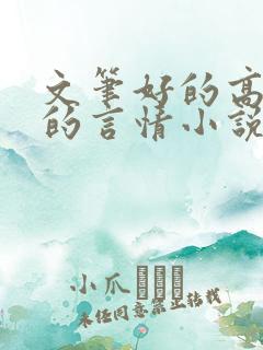 文笔好的高质量的言情小说