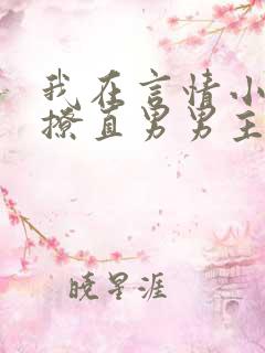 我在言情小说里撩直男男主txt