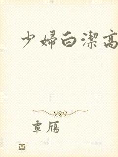 少妇白洁高义h