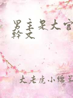 男主是大官的高干文