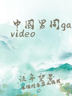 中国男同gayvideo