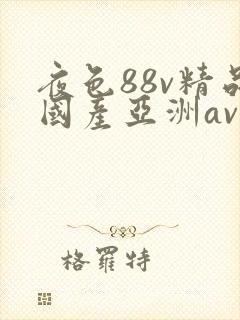 夜色88v精品国产亚洲av小说