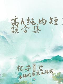 高h纯肉短篇小说合集