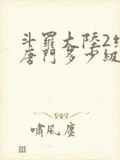 斗罗大陆2绝世唐门多少级