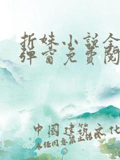 折姝小说全文无弹窗免费阅读