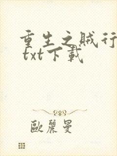 重生之贼行天下 txt下载