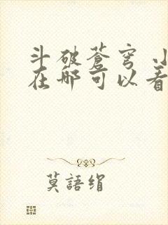 斗破苍穹 小说在哪可以看