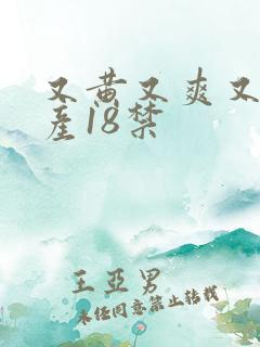 又黄又爽又色国产18禁