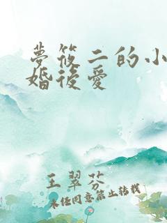 梦筱二的小说先婚后爱