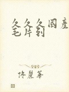 久久久国产精品毛片到