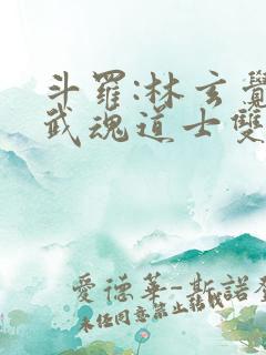 斗罗:林玄觉醒武魂道士双生小说