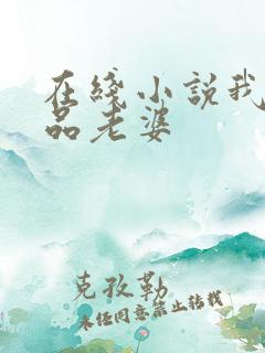 在线小说我的极品老婆