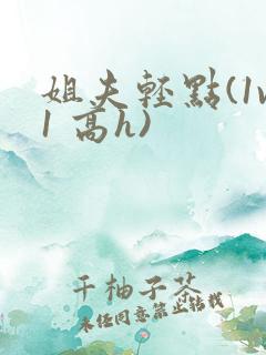 姐夫轻点(1v1 高h)