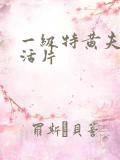 一级特黄夫妻生活片