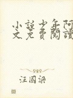 小说少年阿斌全文免费阅读