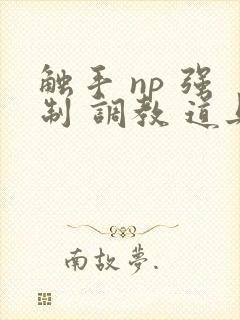 触手 np 强制 调教 道具 文