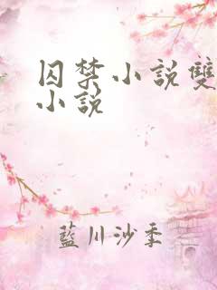 囚禁小说双男主小说