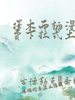 择木而栖漫画免费下拉式土豪漫画