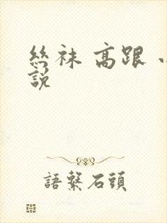 丝袜 高跟 小说