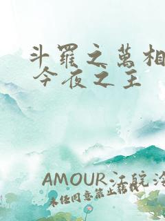 斗罗之万相斗罗 今夜之主