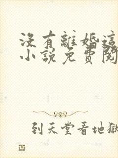 没有离婚这一说小说免费阅读