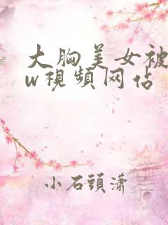 大胸美女被www视频网站