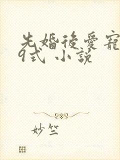 先婚后爱宠妻99式 小说
