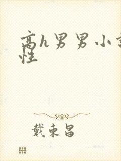 高h男男小说双性