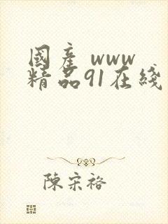 国产 www 精品91在线观看