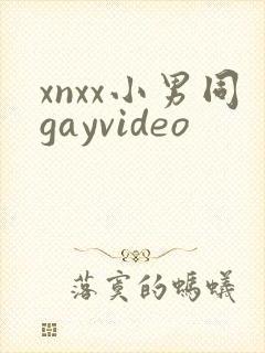 xnxx小男同gayvideo