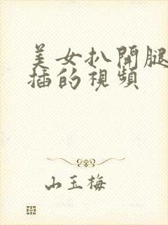 美女扒开腿让人插的视频