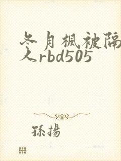 冬月枫被隔壁男人rbd505