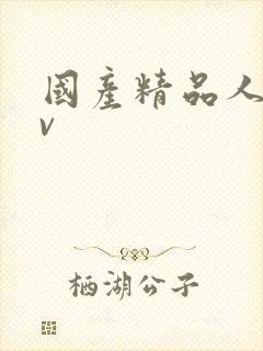 国产精品人妻av