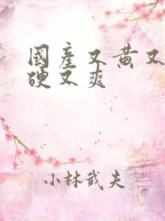 国产又黄又粗又硬又爽